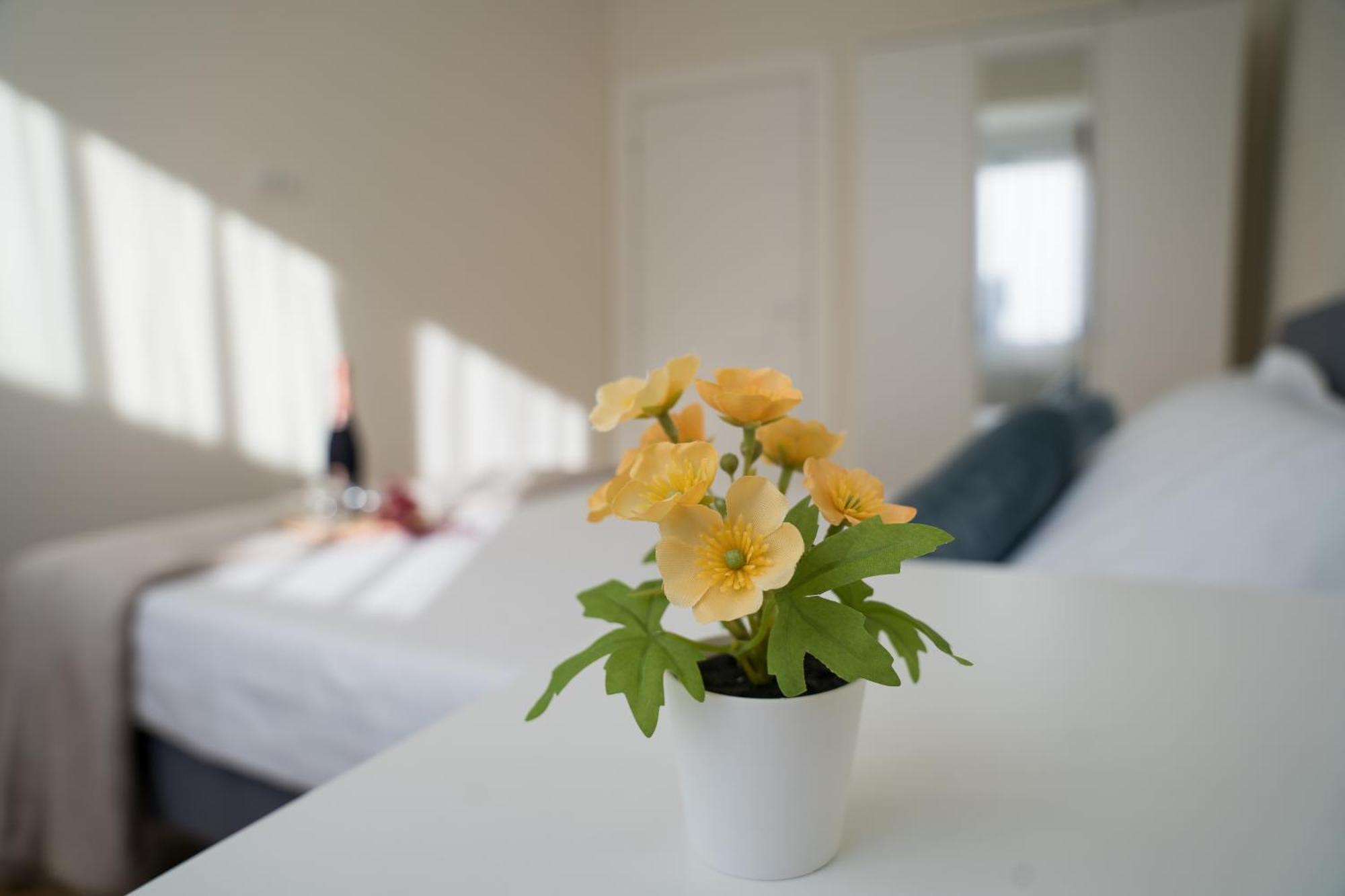 Azaleea Apartments Bükreş Dış mekan fotoğraf